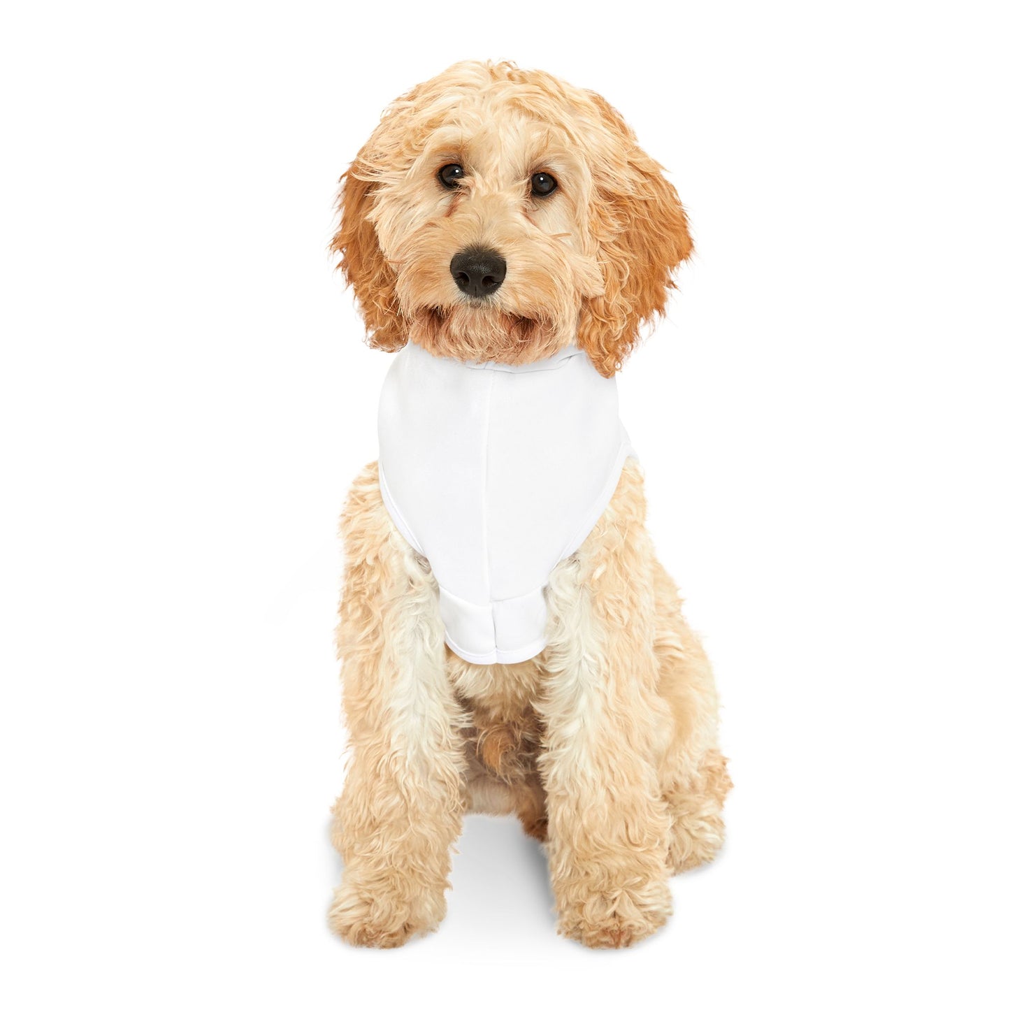 Dogs Against Dictators Pet Hoodie - Funny Political Dog Hoodie
