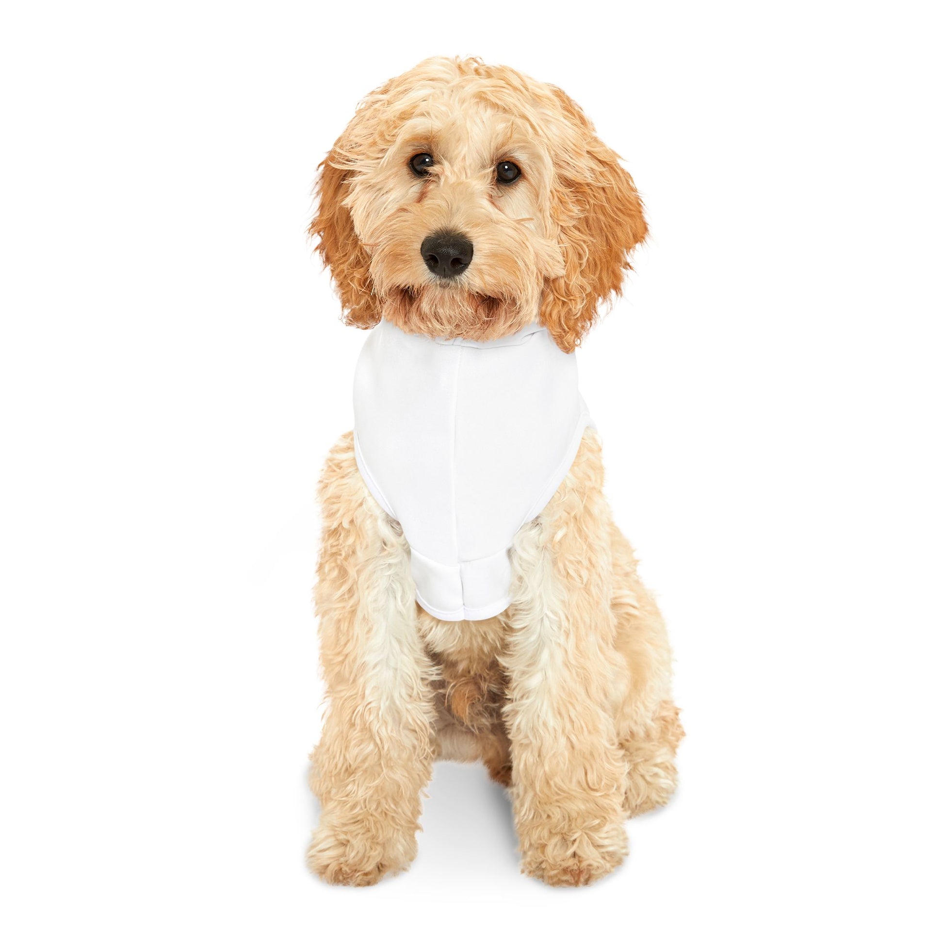 Dogs Against Dictators Pet Hoodie - Funny Political Dog Hoodie
